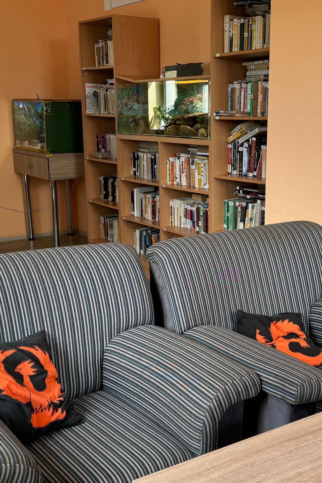 Terapeutická komunita Fénix – Bílá Voda