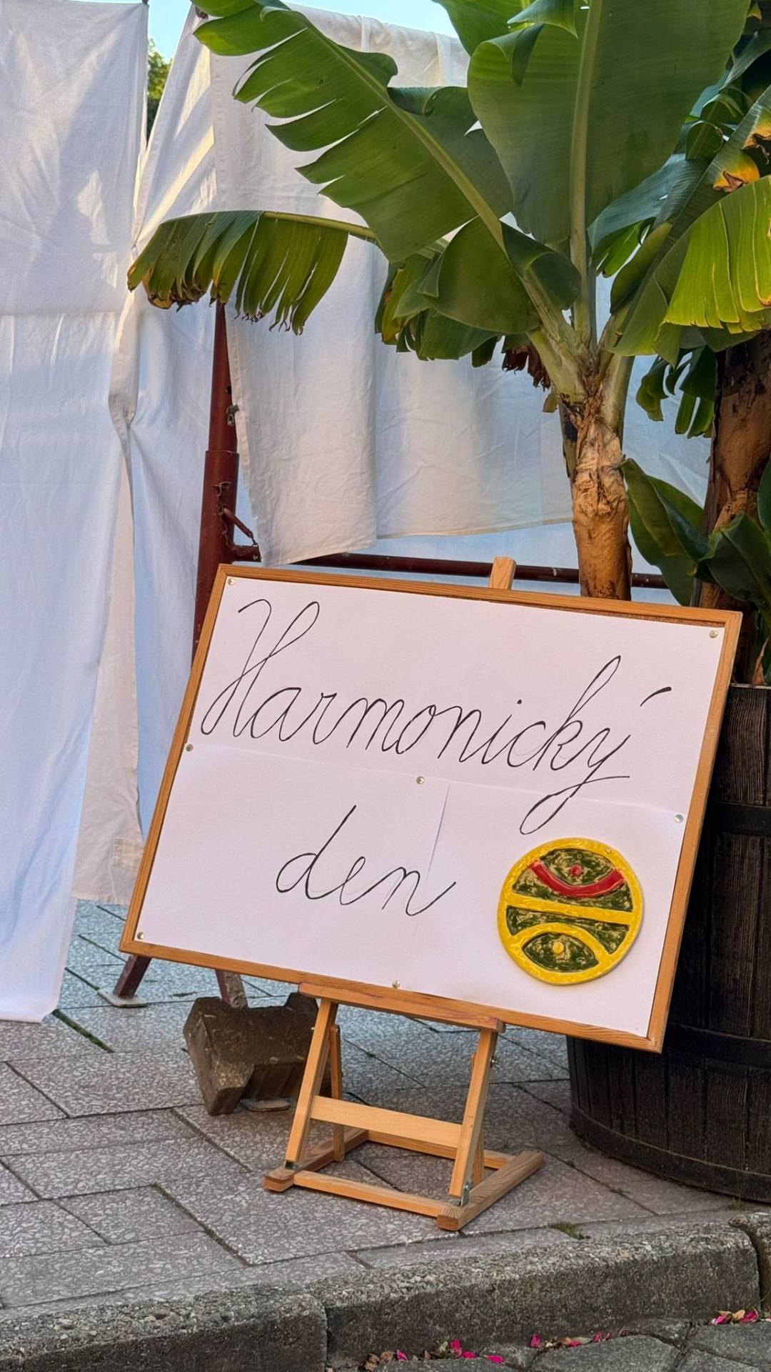 Bengálská noc: Oslava, která rozzářila celou nemocnici!
