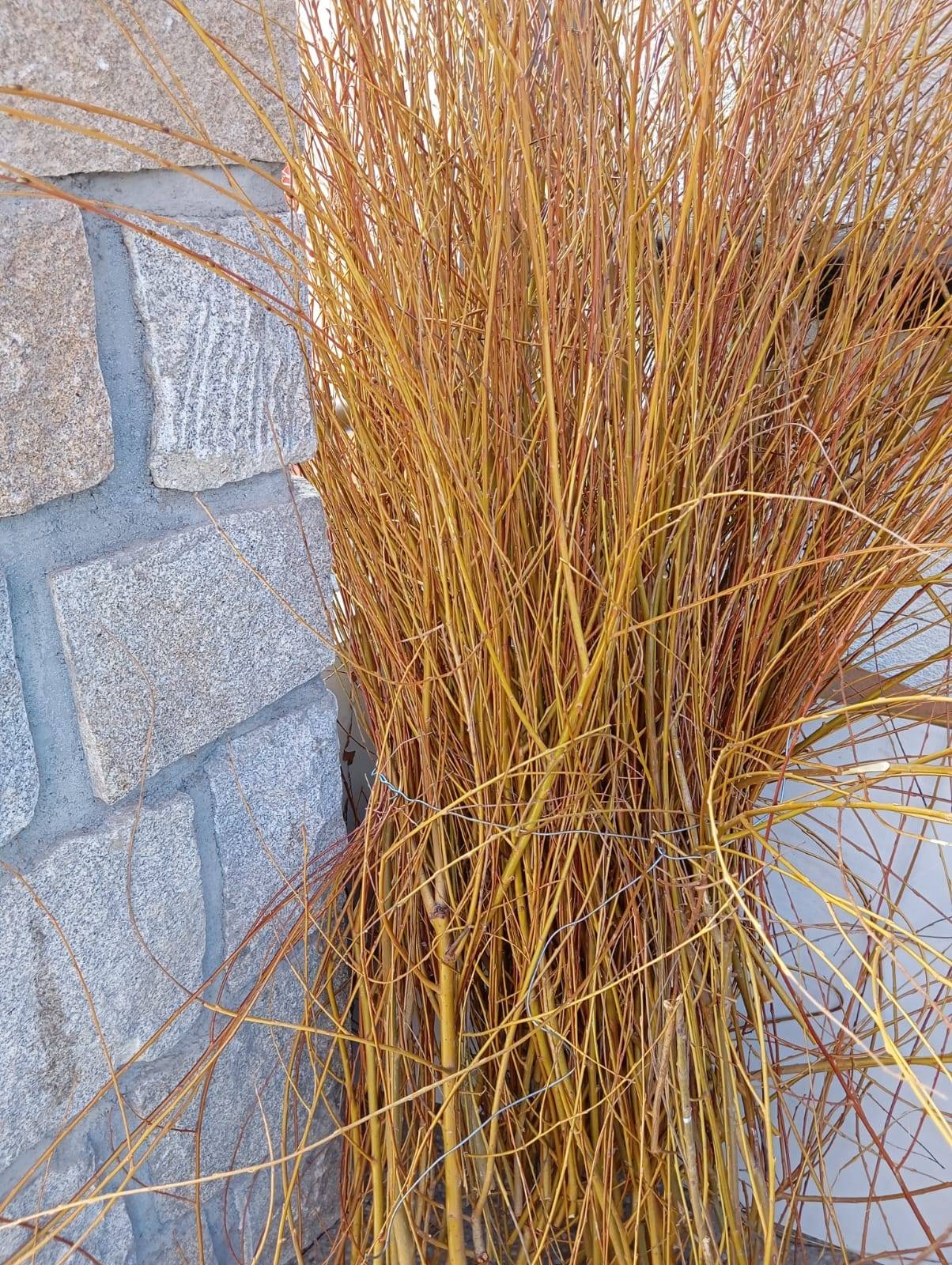 Jarní probuzení a velikonoční tvoření v terapeutickém Domečku