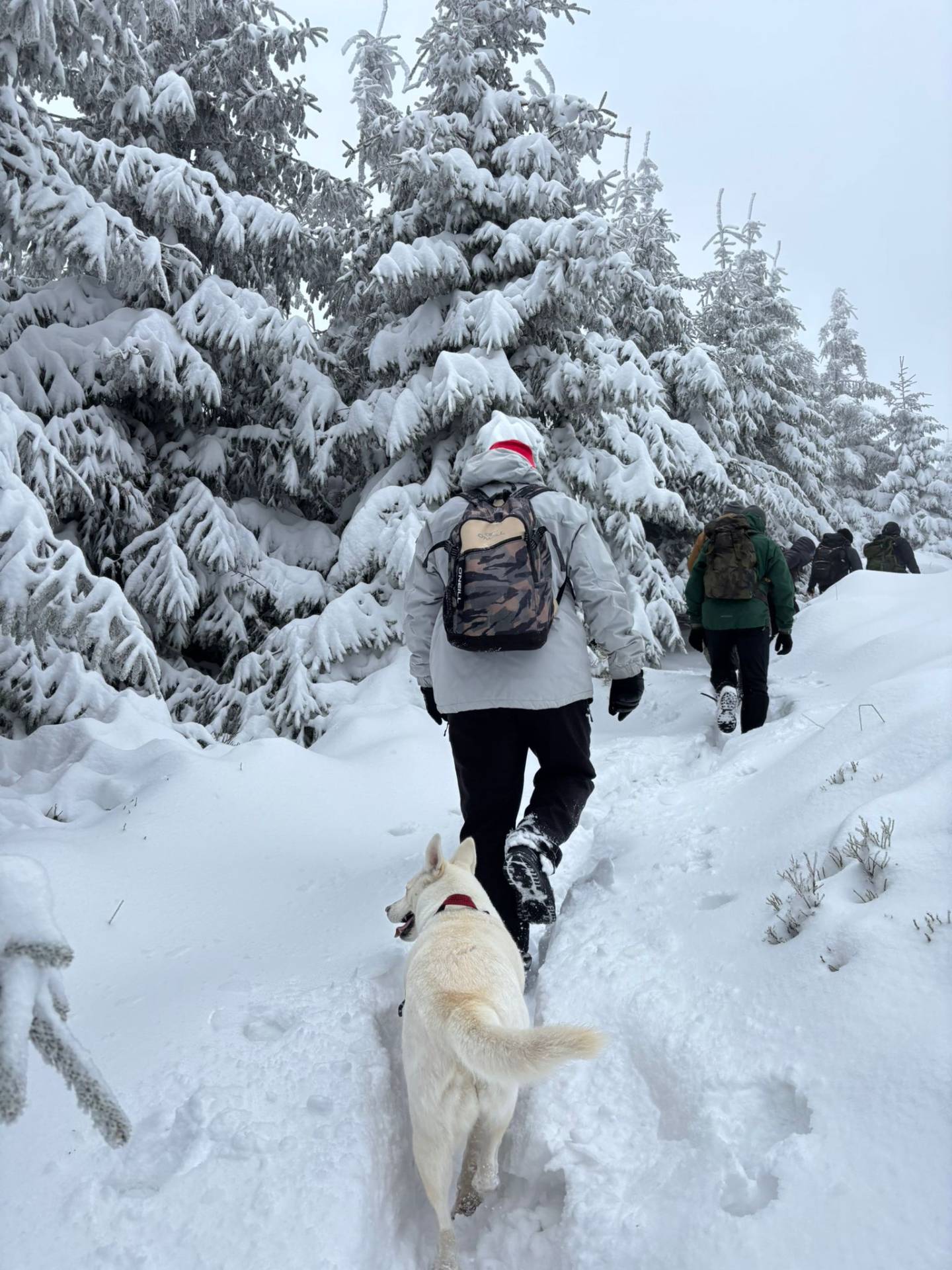 Společně na vrchol: Komunita Fénix zdolala Lysou horu