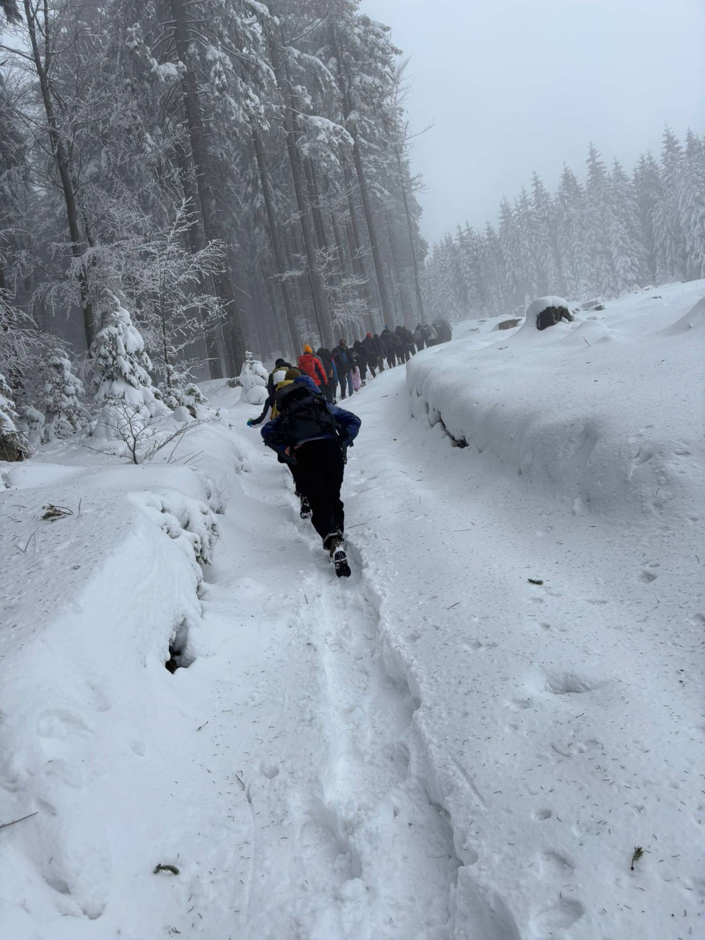 Společně na vrchol: Komunita Fénix zdolala Lysou horu