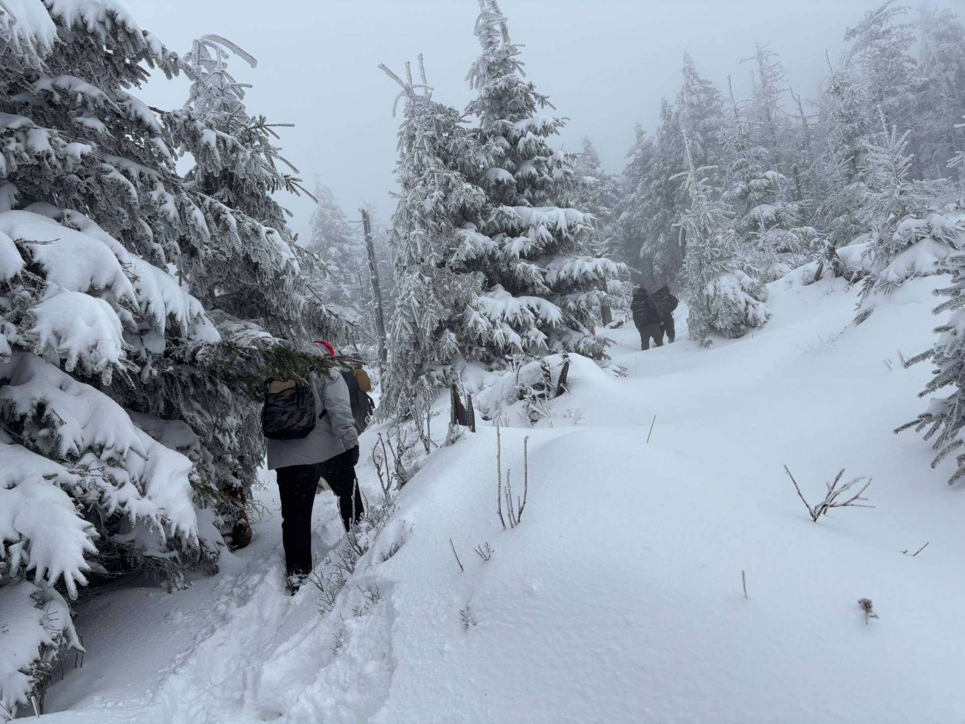 Společně na vrchol: Komunita Fénix zdolala Lysou horu