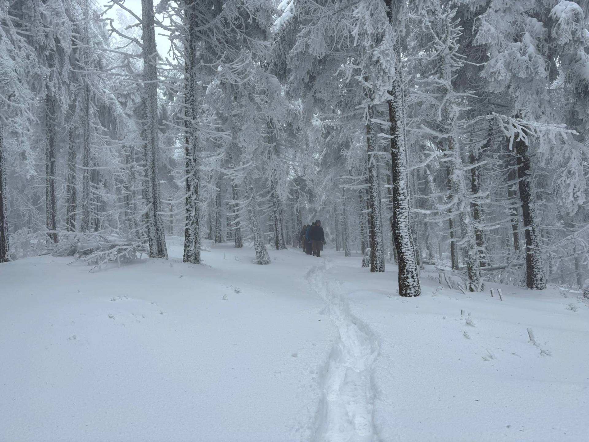 Společně na vrchol: Komunita Fénix zdolala Lysou horu