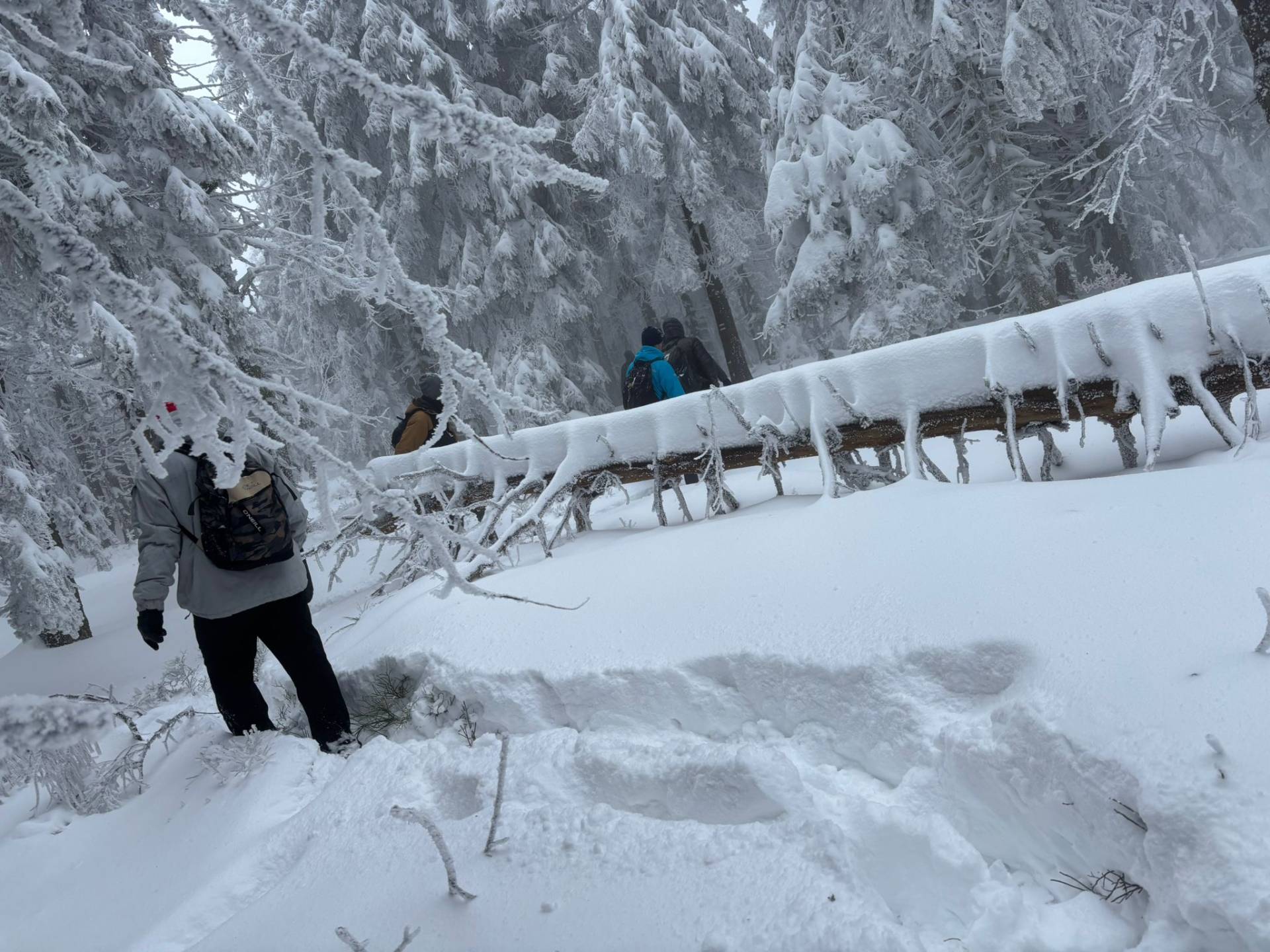Společně na vrchol: Komunita Fénix zdolala Lysou horu