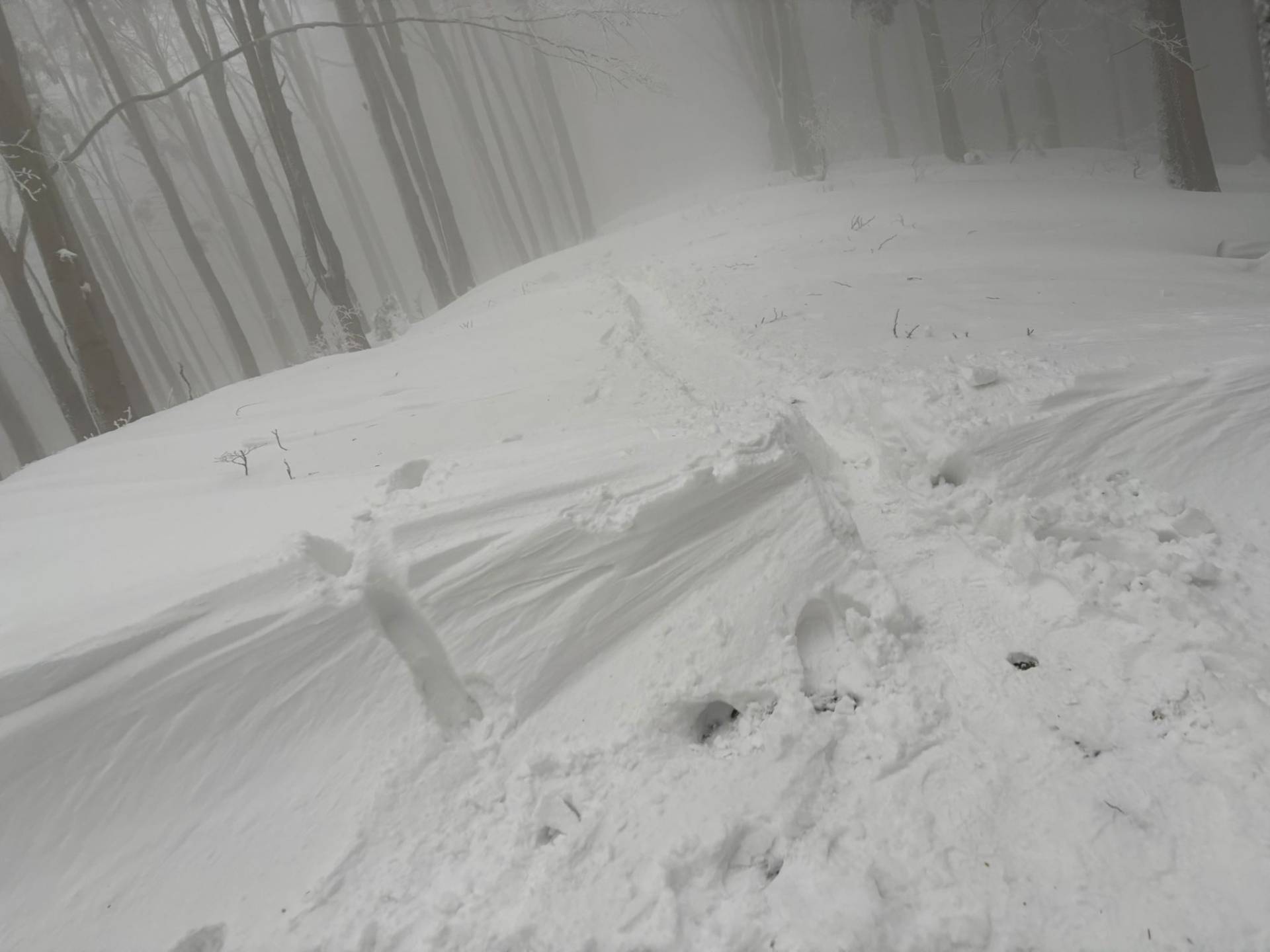 Společně na vrchol: Komunita Fénix zdolala Lysou horu