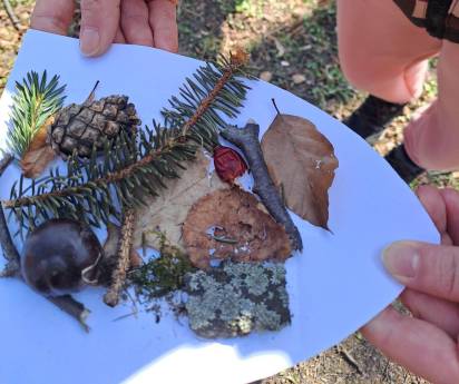 Již podruhé proběhlo setkání s lesní pedagogikou, které pro naši nemocnici připravily Lesy České republiky, s. p.