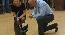 Oslava 17. výročí Komunity Fénix