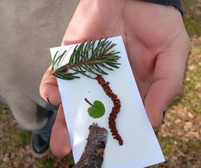 Lesní pedagogika v PNMO