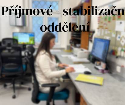 Příjmové - stabilizační oddělení
